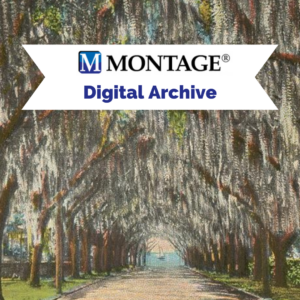 Montage Digital Archive.