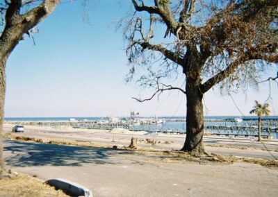 A view of the Pass Christian waterfront shows damaged piers and scattered debris along the shoreline, framed between two storm‑stripped trees. The calm water contrasts with the visible hurricane destruction on land.