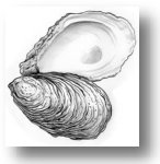 An illustrated oyster shell is shown open, revealing the textured interior of the shell.